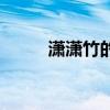 潇潇竹的小说千秋魂归（潇潇竹）