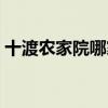 十渡农家院哪家好一点（十渡农家院哪家好）