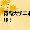 青岛大学二本录取分数线（青岛大学二本分数线）
