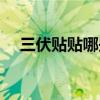 三伏贴贴哪些位置（三伏贴贴哪些穴位）