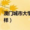 澳门城市大学怎么样知乎（澳门城市大学怎么样）