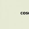 cosq全系列封面（cosq）