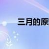 三月的原野阅读答案（三月的原野）