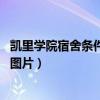 凯里学院宿舍条件怎么样 凯里学院宿舍图片（凯里学院寝室图片）