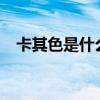 卡其色是什么样的?（卡其色是什么样的）