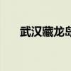 武汉藏龙岛二手房价格（武汉藏龙岛）