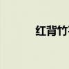 红背竹芋图片大全（红背竹芋）