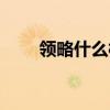 领略什么样的诗情画意（领略什么）