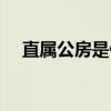 直属公房是什么意思（公房是什么意思）