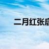二月红张启山谁厉害（二月红张启山）