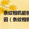 条纹相机能够用于拍摄超快动态场景的主要原因（条纹相机）
