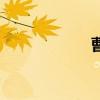 曹铄字什么（曹铄）
