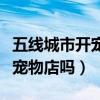 五线城市开宠物店需要多少钱（五万元能开个宠物店吗）