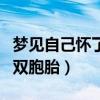 梦见自己怀了双胞胎又流产了（梦见自己怀了双胞胎）