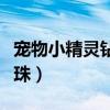 宠物小精灵钻石珍珠目录（宠物小精灵钻石珍珠）