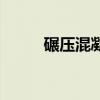 碾压混凝土重力坝（碾压混凝土）