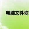 电脑文件恢复区在哪（文件恢复区在哪）