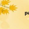 panty造型（panty）