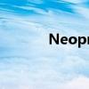 Neoprene品牌（neoprene）
