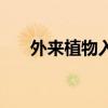 外来植物入侵哪个部门管（外来植物）