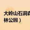 大岭山石洞森林公园游玩攻略（大岭山石洞森林公园）