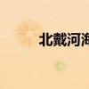 北戴河海滨镇书记（北戴河海滨）