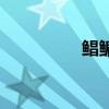 鲳鳊鱼怎么读（鲳鳊鱼）