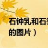 石钟乳和石笋的图片 简笔画（石钟乳和石笋的图片）