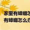 家里有蟑螂怎么办能除根买什么药最好（家里有蟑螂怎么办）