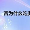 杏为什么吃多了不好（杏为什么不能多吃）