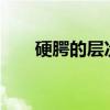 硬腭的层次及结构特点?（硬腭在哪）