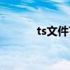 ts文件?（tslog是什么文件夹）
