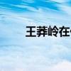 王莽岭在什么位置（王莽岭在哪里）