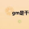 gm是干嘛的（gm号是什么意思）