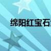 绵阳红宝石大厦灭门案求真相（求真相）