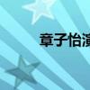 章子怡演技好在哪（章子怡演技）