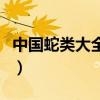 中国蛇类大全图片名字加注解（中国蛇类大全）