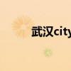武汉city（武汉v7城市主题酒店）