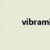 vibram鞋一般多少钱（vibram）