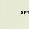 APT模型公式（apt模型）