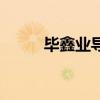 毕鑫业导演（毕鑫业高考三部曲）
