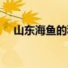 山东海鱼的种类图片（海鱼的种类图片）