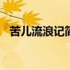 苦儿流浪记简介200字（苦儿流浪记简介）