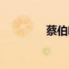 蔡伯喈是蔡邕吗（蔡伯喈）
