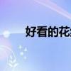 好看的花纹图案大全（好看的花纹）