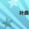 叶鼻蛇长什么样（叶鼻蛇）