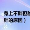 身上不胖但脸胖的原因是什么（身上不胖但脸胖的原因）