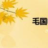 毛国电影下载（毛国电影）