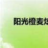 阳光橙麦炫酷多少钱（阳光橙麦炫酷）