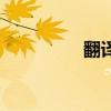 翻译家许渊冲（翻译家）